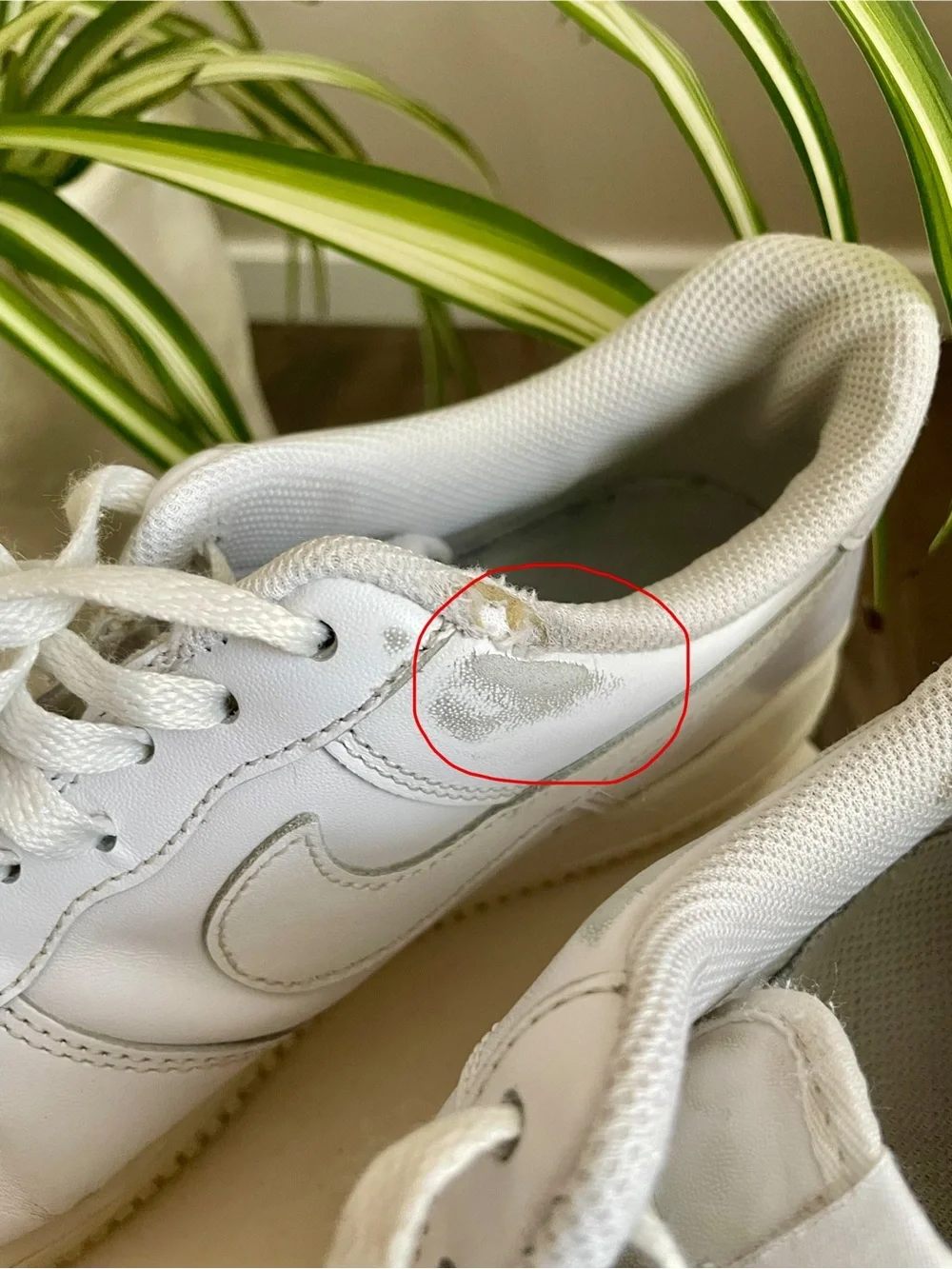 Nike White Low-Top Sneakers
